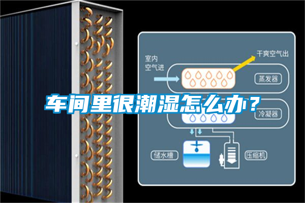 車間里很潮濕怎么辦？