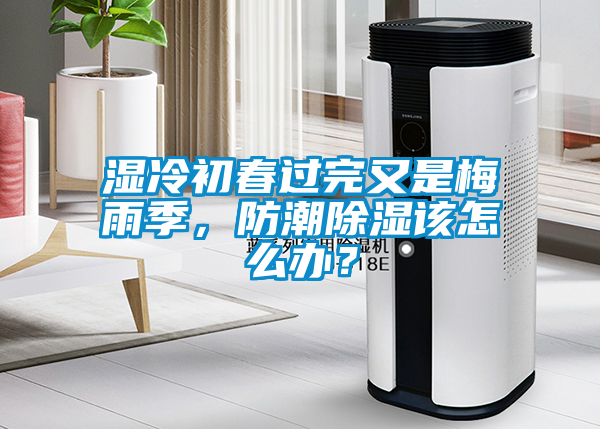 濕冷初春過完又是梅雨季，防潮除濕該怎么辦？