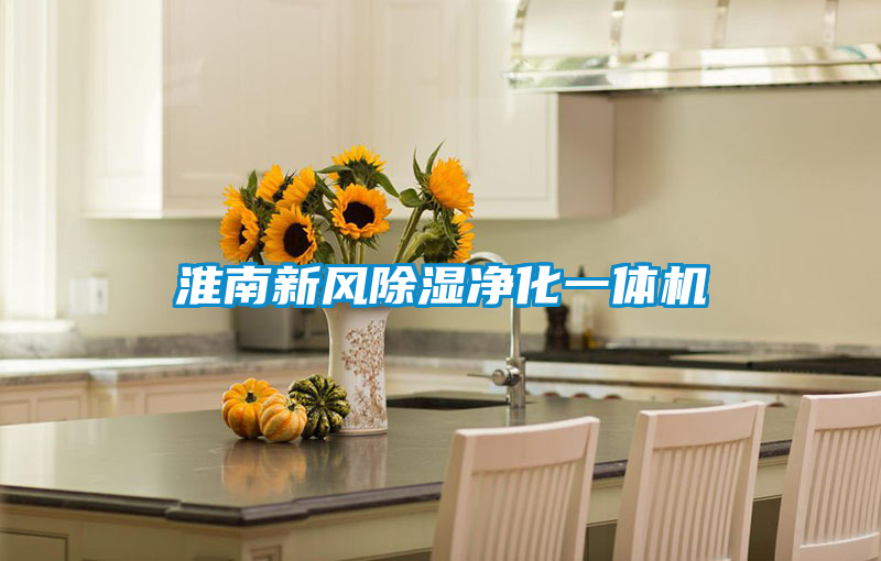 淮南新風(fēng)除濕凈化一體機