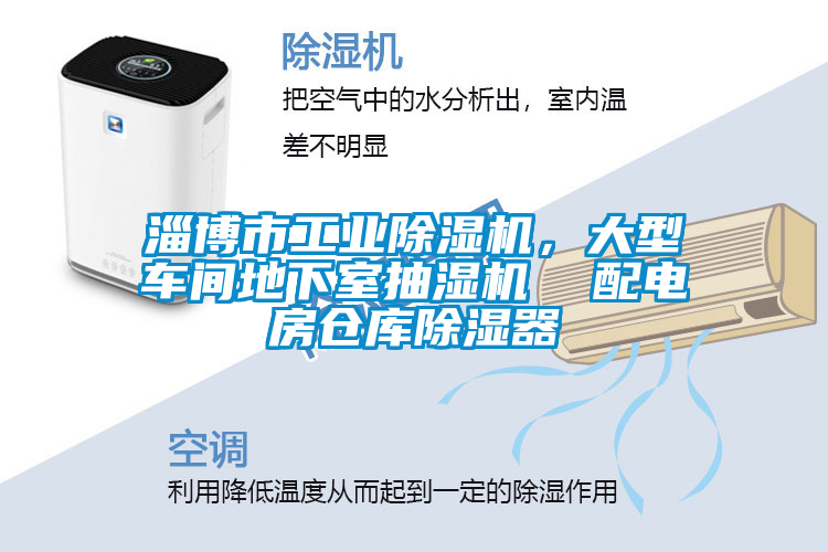 淄博市工業(yè)除濕機，大型車間地下室抽濕機  配電房倉庫除濕器