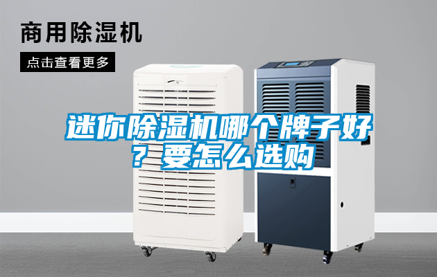 迷你除濕機哪個牌子好？要怎么選購