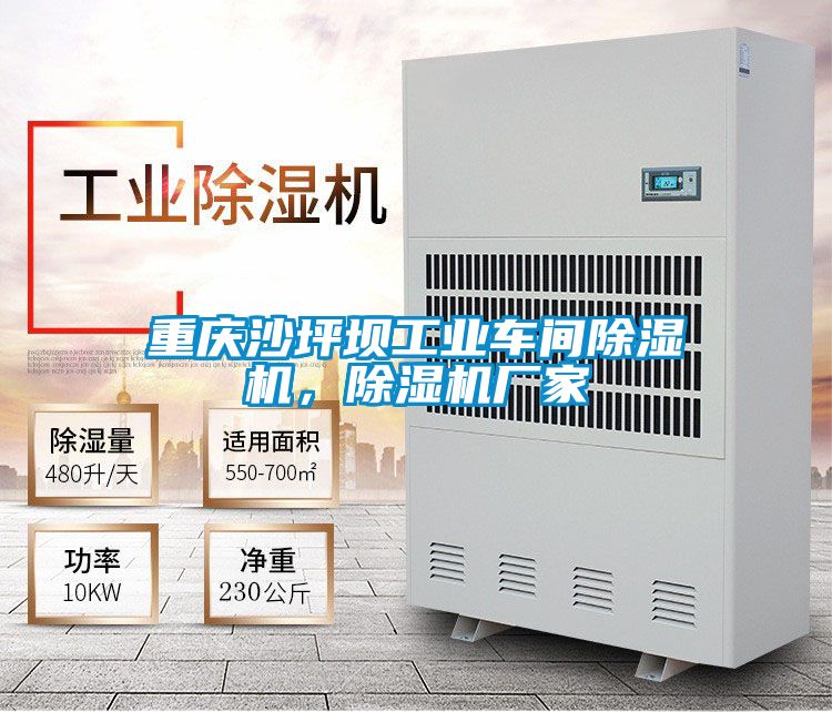 重慶沙坪壩工業(yè)車(chē)間除濕機(jī)，除濕機(jī)廠(chǎng)家