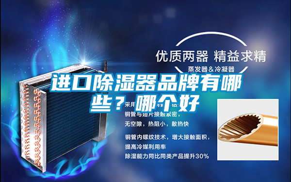 進(jìn)口除濕器品牌有哪些？哪個(gè)好