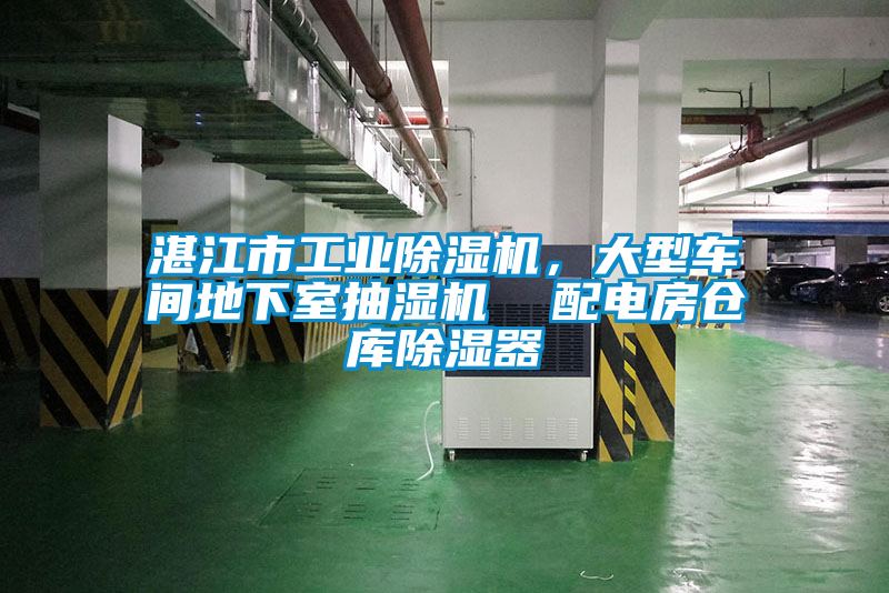 湛江市工業(yè)除濕機，大型車間地下室抽濕機  配電房倉庫除濕器