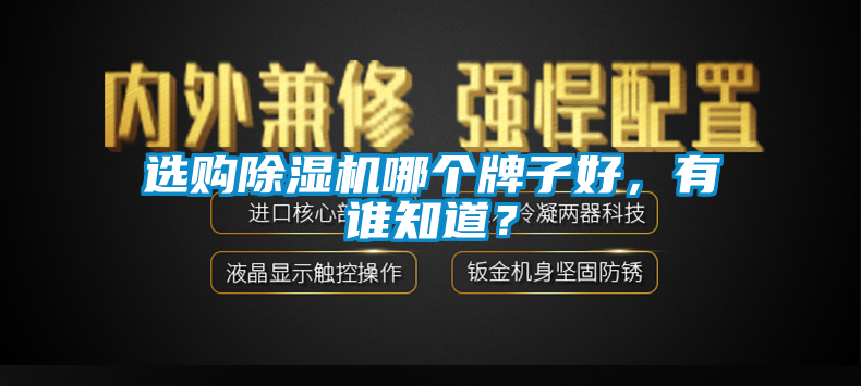選購(gòu)除濕機(jī)哪個(gè)牌子好，有誰(shuí)知道？