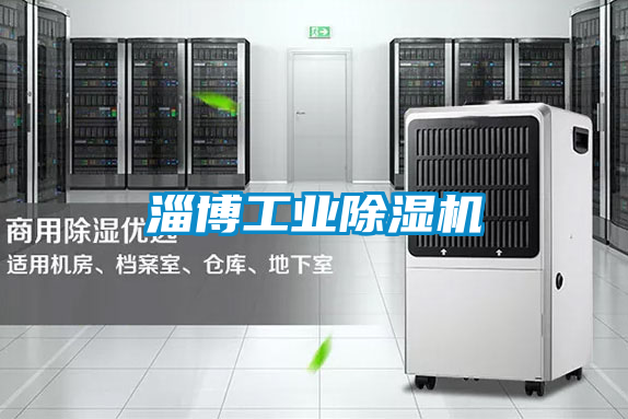淄博工業(yè)除濕機