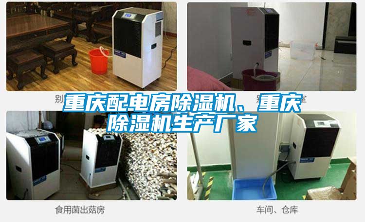重慶配電房除濕機(jī)、重慶除濕機(jī)生產(chǎn)廠(chǎng)家