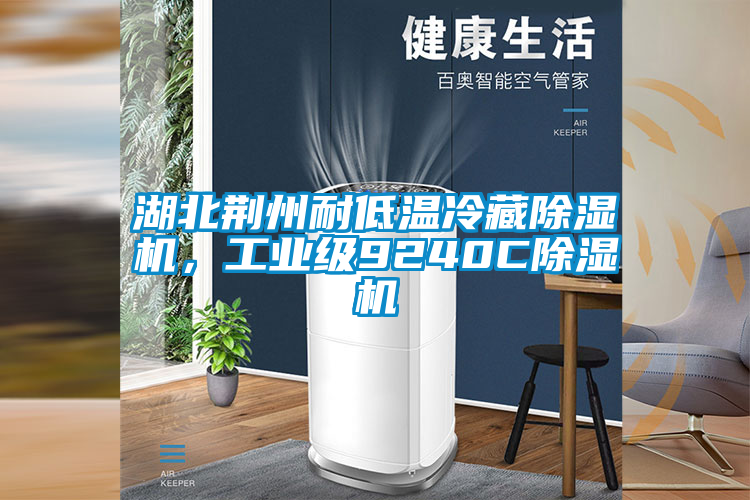 湖北荊州耐低溫冷藏除濕機，工業(yè)級9240C除濕機