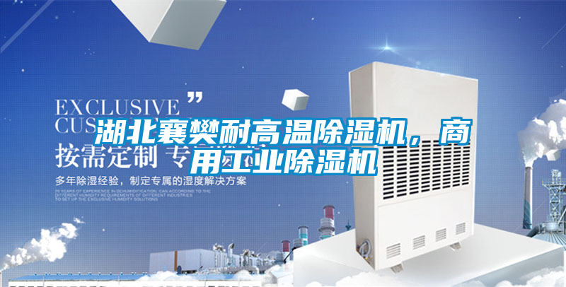 湖北襄樊耐高溫除濕機，商用工業(yè)除濕機