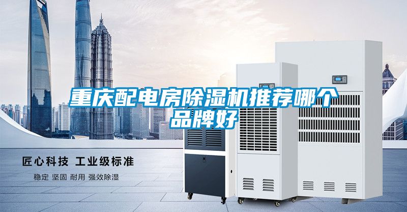 重慶配電房除濕機(jī)推薦哪個(gè)品牌好