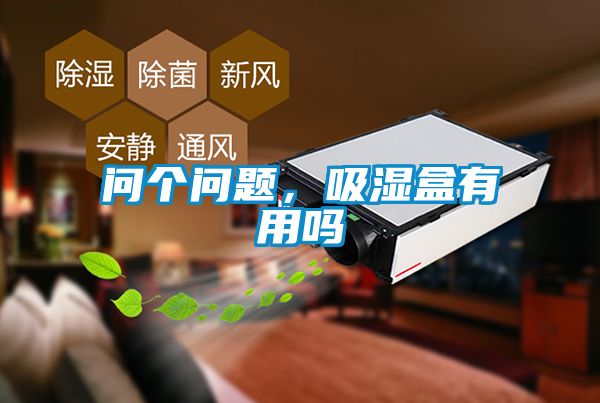 問個(gè)問題，吸濕盒有用嗎