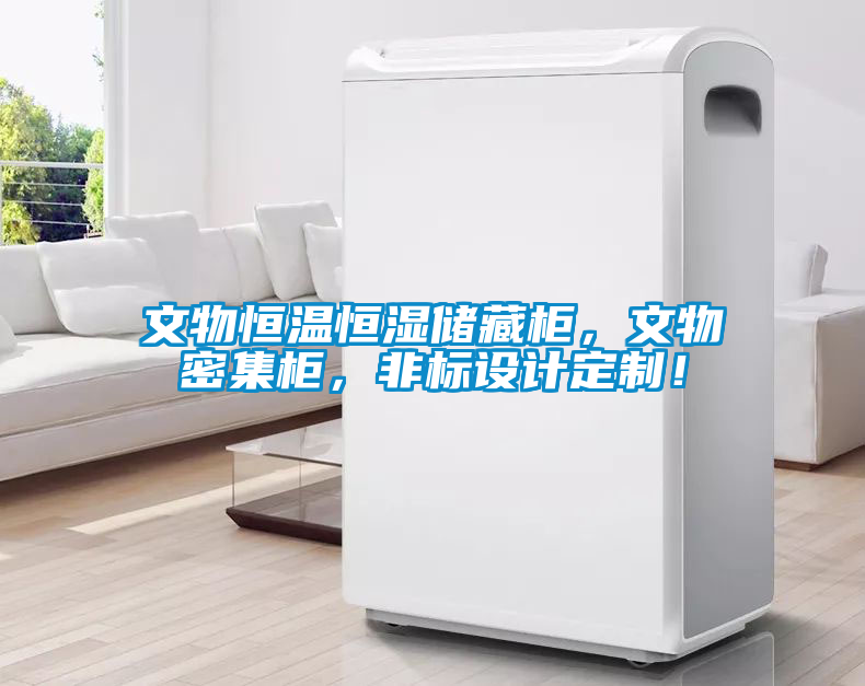 文物恒溫恒濕儲藏柜，文物密集柜，非標(biāo)設(shè)計(jì)定制！