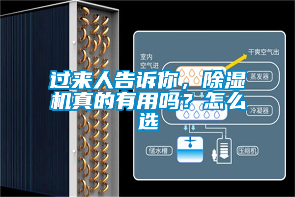 過來人告訴你，除濕機(jī)真的有用嗎？怎么選