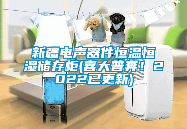 新疆電聲器件恒溫恒濕儲存柜(喜大普奔！2022已更新)