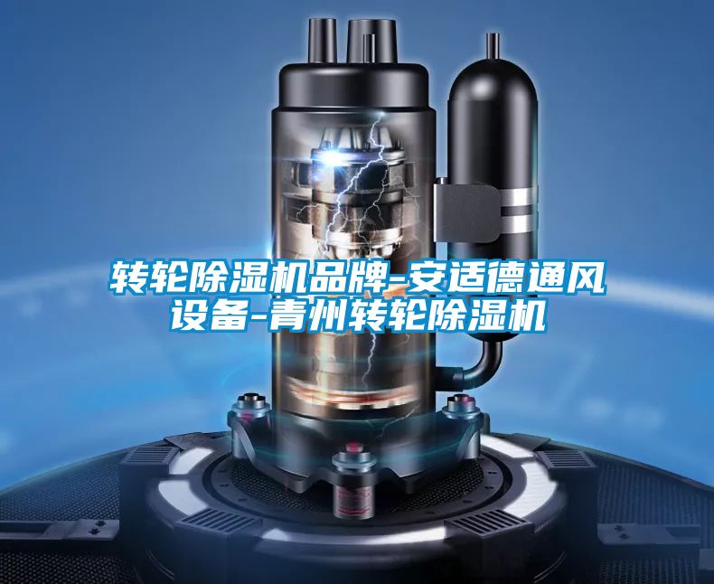 轉(zhuǎn)輪除濕機品牌-安適德通風設備-青州轉(zhuǎn)輪除濕機
