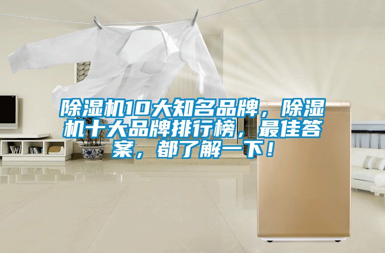 除濕機10大知名品牌，除濕機十大品牌排行榜，最佳答案，都了解一下！