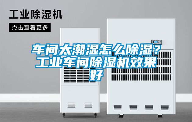 車間太潮濕怎么除濕？工業(yè)車間除濕機效果好
