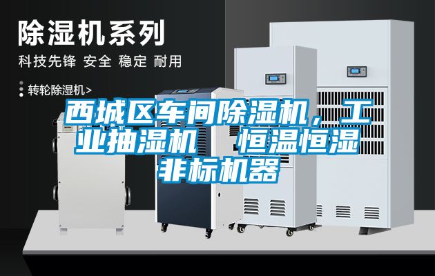 西城區(qū)車(chē)間除濕機(jī)，工業(yè)抽濕機(jī)  恒溫恒濕非標(biāo)機(jī)器