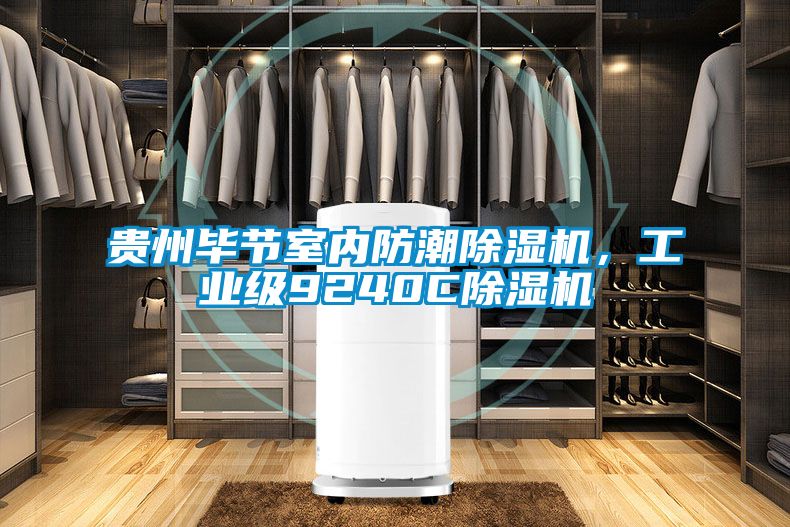 貴州畢節(jié)室內防潮除濕機，工業(yè)級9240C除濕機