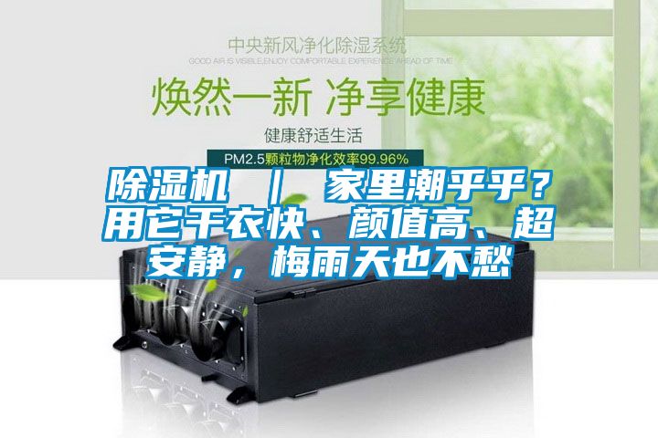 除濕機 ｜ 家里潮乎乎？用它干衣快、顏值高、超安靜，梅雨天也不愁