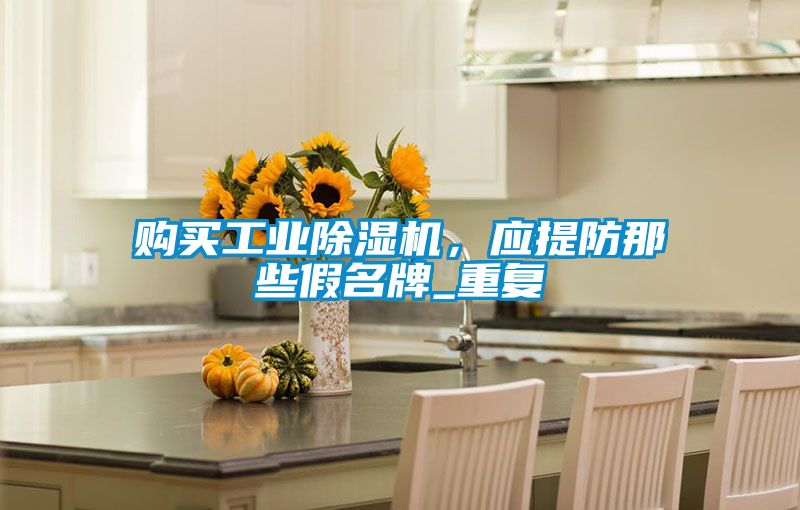 購買工業(yè)除濕機，應(yīng)提防那些假名牌_重復(fù)