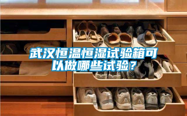 武漢恒溫恒濕試驗(yàn)箱可以做哪些試驗(yàn)？