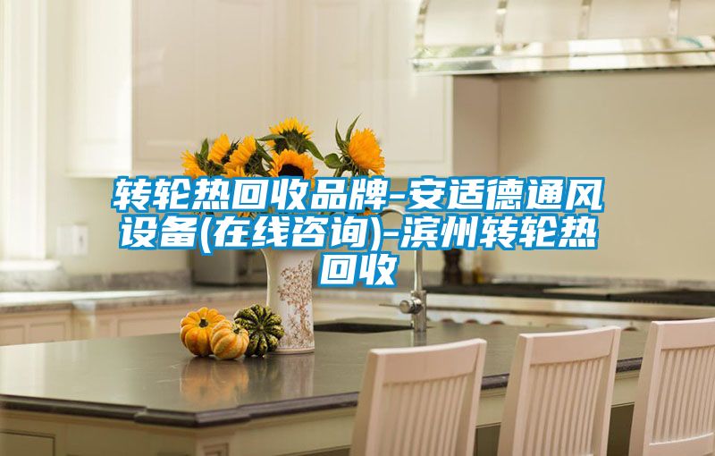 轉(zhuǎn)輪熱回收品牌-安適德通風設(shè)備(在線咨詢)-濱州轉(zhuǎn)輪熱回收