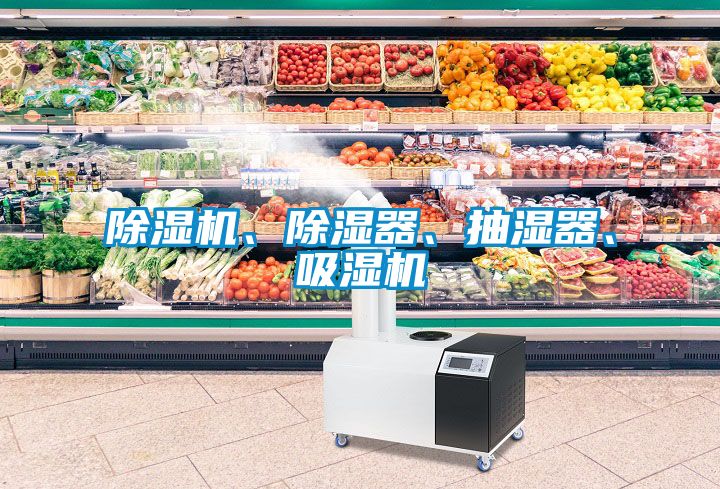 除濕機(jī)、除濕器、抽濕器、吸濕機(jī)