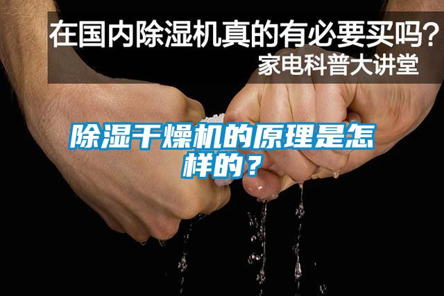除濕干燥機(jī)的原理是怎樣的？