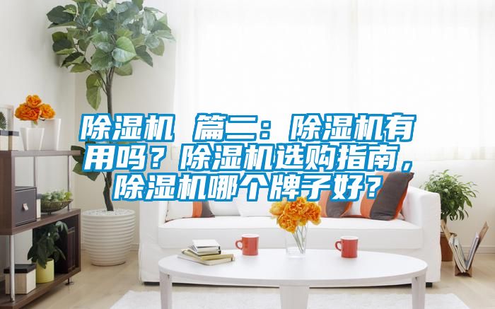 除濕機 篇二：除濕機有用嗎？除濕機選購指南，除濕機哪個牌子好？