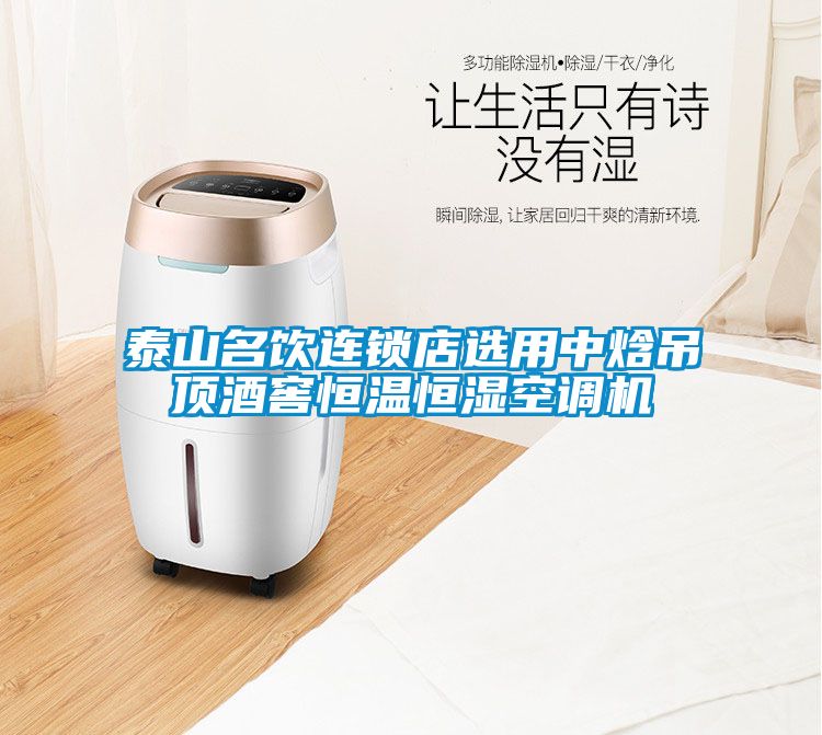 泰山名飲連鎖店選用中焓吊頂酒窖恒溫恒濕空調機
