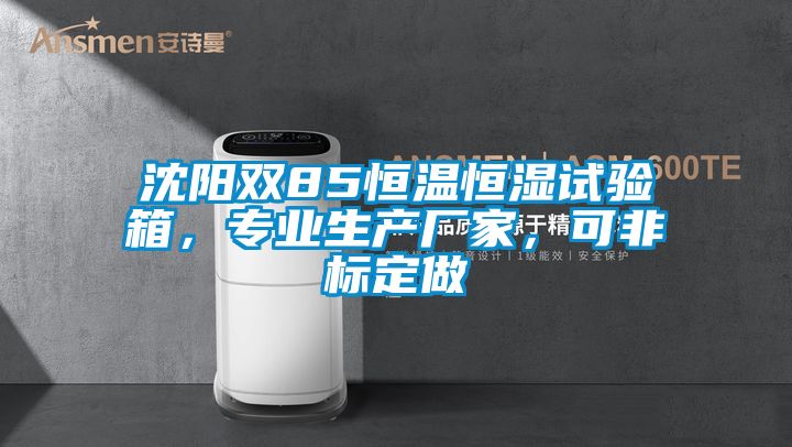 沈陽雙85恒溫恒濕試驗箱，專業(yè)生產廠家，可非標定做