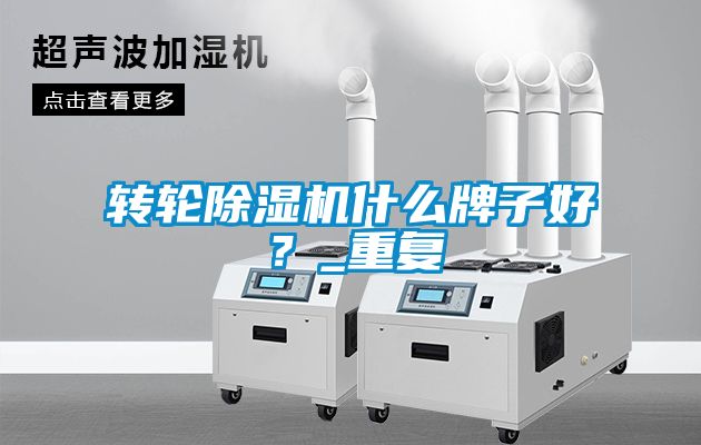 轉輪除濕機什么牌子好？_重復