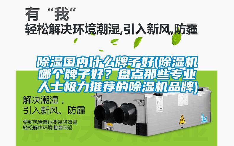 除濕國(guó)內(nèi)什么牌子好(除濕機(jī)哪個(gè)牌子好？盤點(diǎn)那些專業(yè)人士極力推薦的除濕機(jī)品牌)