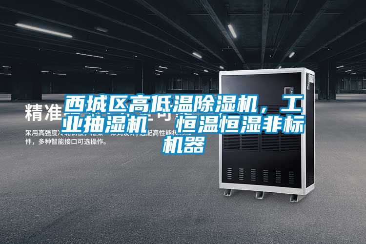 西城區(qū)高低溫除濕機(jī)，工業(yè)抽濕機(jī)  恒溫恒濕非標(biāo)機(jī)器