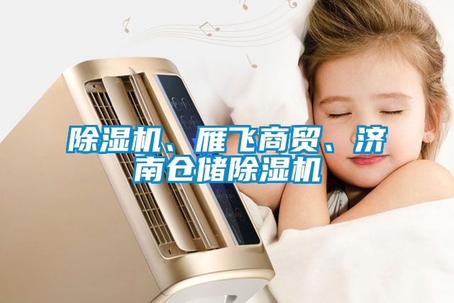 除濕機(jī)、雁飛商貿(mào)、濟(jì)南倉(cāng)儲(chǔ)除濕機(jī)