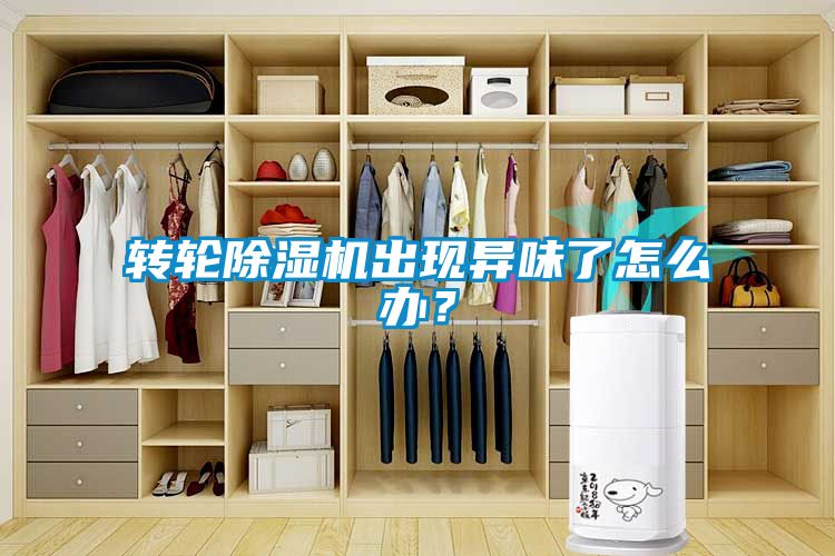轉(zhuǎn)輪除濕機出現(xiàn)異味了怎么辦？