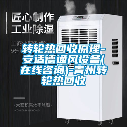 轉(zhuǎn)輪熱回收原理-安適德通風設(shè)備(在線咨詢)-青州轉(zhuǎn)輪熱回收