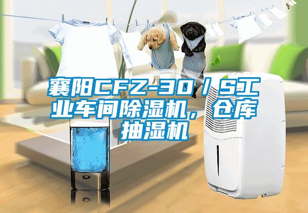 襄陽(yáng)CFZ-30／S工業(yè)車(chē)間除濕機(jī)，倉(cāng)庫(kù)抽濕機(jī)