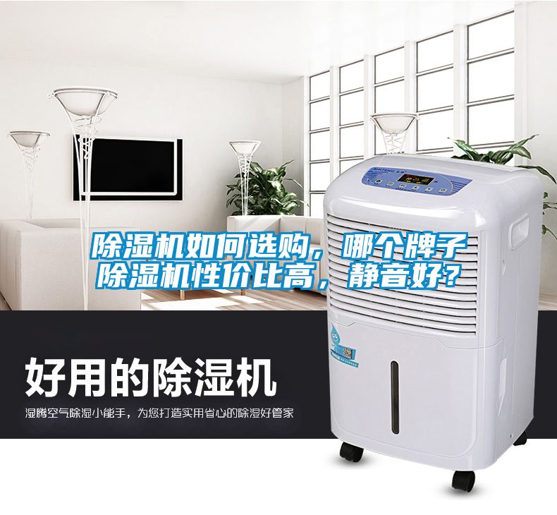 除濕機(jī)如何選購，哪個牌子除濕機(jī)性價比高，靜音好？