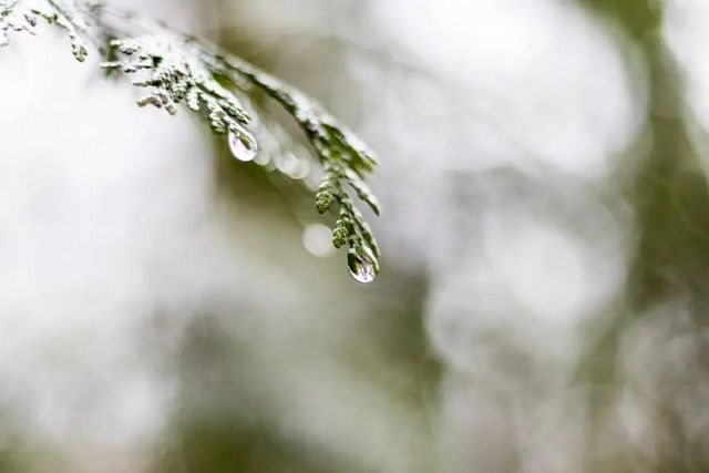 空氣濕度大帶來(lái)的危害有哪些，你知道嗎？